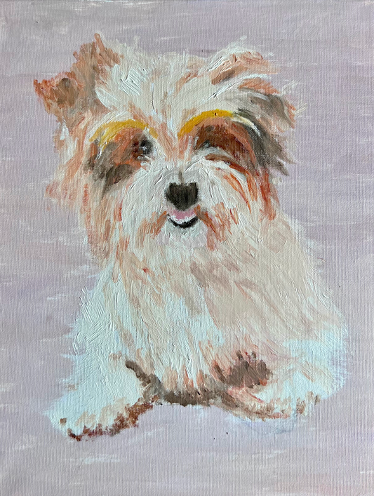 Hand Painted Oil on Canvas Pet Portraits
